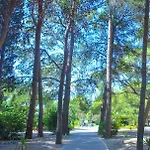 Club Nature Village Ośrodek wypoczynkowy 3*